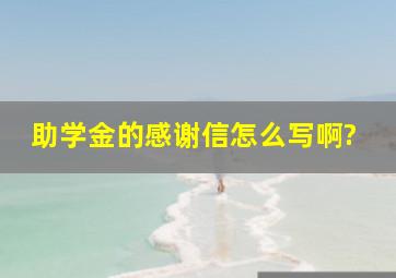 助学金的感谢信怎么写啊?