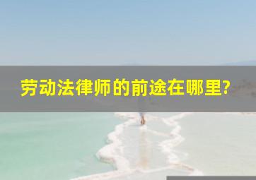 劳动法律师的前途在哪里?