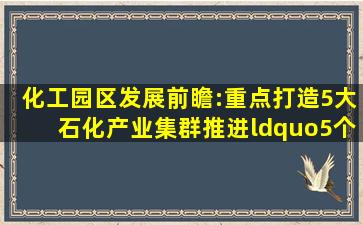 化工园区发展前瞻:重点打造5大石化产业集群,推进“5个50”工程