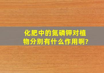 化肥中的氮磷钾对植物分别有什么作用啊?