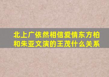 北上广依然相信爱情东方柏和朱亚文演的王茂什么关系(