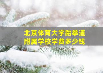 北京体育大学跆拳道附属学校学费多少钱