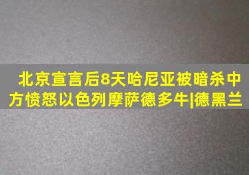 北京宣言后8天,哈尼亚被暗杀,中方愤怒,以色列摩萨德多牛|德黑兰