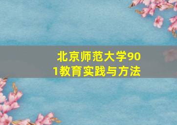 北京师范大学901教育实践与方法