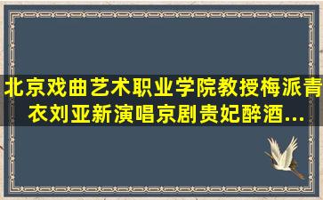 北京戏曲艺术职业学院教授梅派青衣刘亚新演唱京剧《贵妃醉酒...