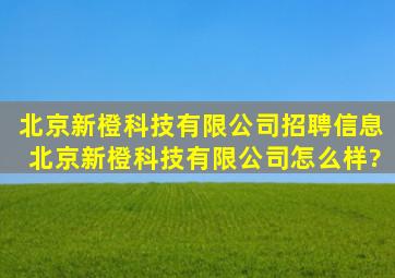 北京新橙科技有限公司招聘信息,北京新橙科技有限公司怎么样?