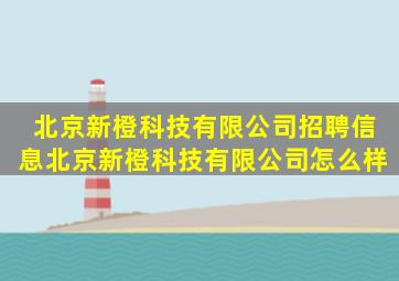 北京新橙科技有限公司招聘信息北京新橙科技有限公司怎么样(