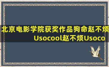 北京电影学院获奖作品《狗命》赵不烦Usocool赵不烦Usocool