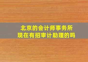 北京的会计师事务所现在有招审计助理的吗