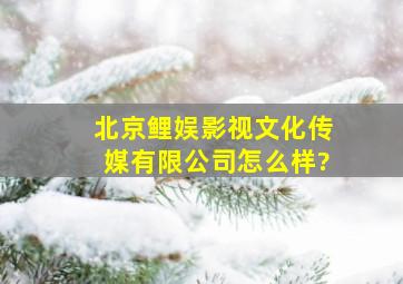 北京鲤娱影视文化传媒有限公司怎么样?