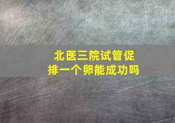 北医三院试管促排一个卵能成功吗