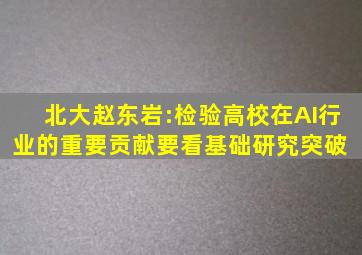 北大赵东岩:检验高校在AI行业的重要贡献,要看基础研究突破 