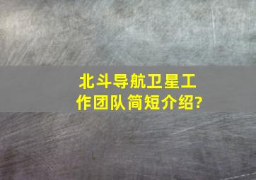 北斗导航卫星工作团队简短介绍?