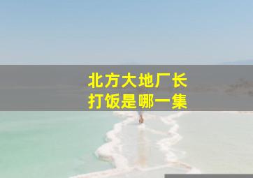 北方大地厂长打饭是哪一集