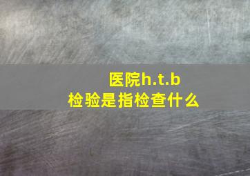 医院h.t.b检验是指检查什么