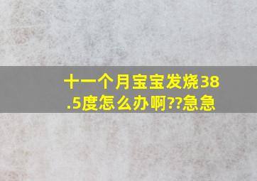 十一个月宝宝发烧38.5度,怎么办啊??急急