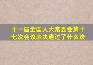 十一届全国人大常委会第十七次会议表决通过了什么法