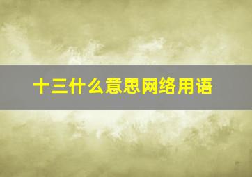 十三什么意思网络用语