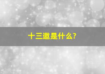 十三邀是什么?