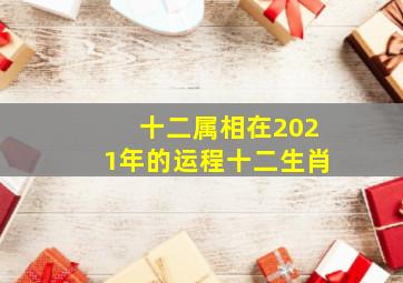 十二属相在2021年的运程十二生肖