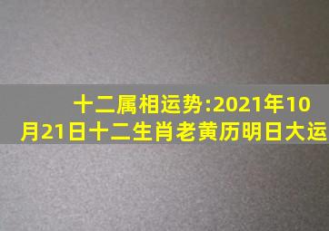 十二属相运势:2021年10月21日,十二生肖,老黄历明日大运