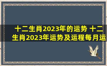 十二生肖2023年的运势 十二生肖2023年运势及运程每月运程 