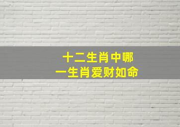 十二生肖中哪一生肖爱财如命(