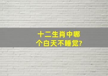 十二生肖中哪个白天不睡觉?