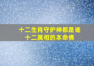 十二生肖守护神都是谁 十二属相的本命佛 