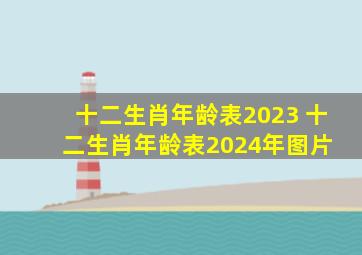 十二生肖年龄表2023 十二生肖年龄表2024年图片 