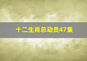 十二生肖总动员47集