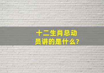 十二生肖总动员讲的是什么?