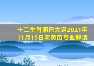 十二生肖明日大运,2021年(11月15日)【老黄历专业解读】