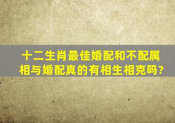 十二生肖最佳婚配和不配,属相与婚配真的有相生相克吗?