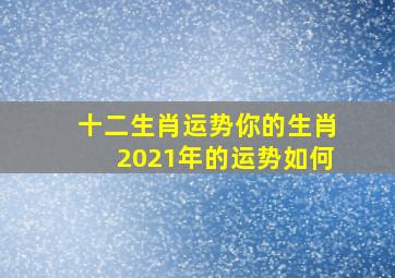 十二生肖运势,你的生肖2021年的运势如何