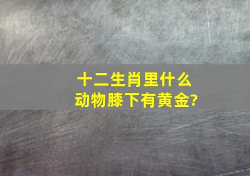 十二生肖里什么动物膝下有黄金?