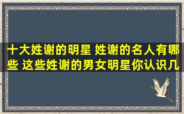 十大姓谢的明星 姓谢的名人有哪些 这些姓谢的男女明星你认识几个 