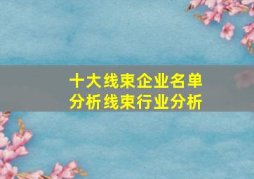 十大线束企业名单分析,线束行业分析