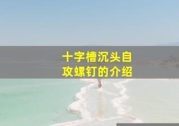 十字槽沉头自攻螺钉的介绍