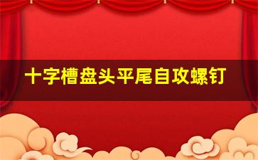 十字槽盘头平尾自攻螺钉