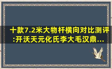 十款7.2米大物杆横向对比测评:开沃、天元、化氏、李大毛、汉鼎...