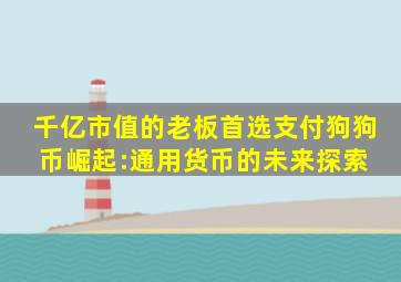 千亿市值的老板首选支付,狗狗币崛起:通用货币的未来探索 