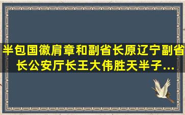 半包国徽肩章和副省长、原辽宁副省长,公安厅长王大伟,胜天半子...