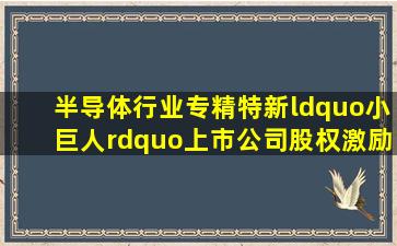 半导体行业专精特新“小巨人”上市公司股权激励分析