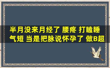 半月没来月经了 腰疼 打瞌睡 气短 当是把脉说怀孕了 做B超 验尿 说...