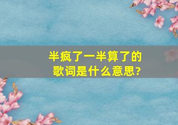 半疯了一半算了的歌词是什么意思?