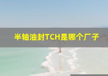 半轴油封TCH是哪个厂子