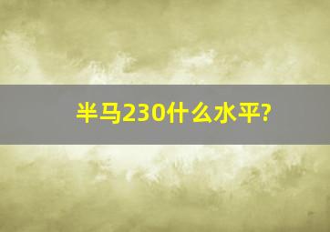 半马230什么水平?