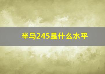 半马245是什么水平