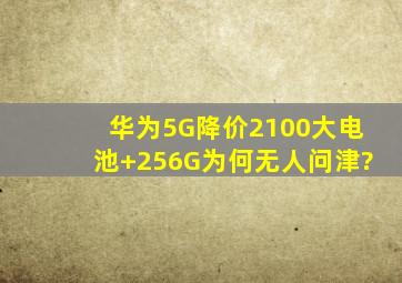 华为5G降价2100大电池+256G为何无人问津?